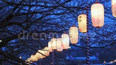日本东京樱花节的灯笼。